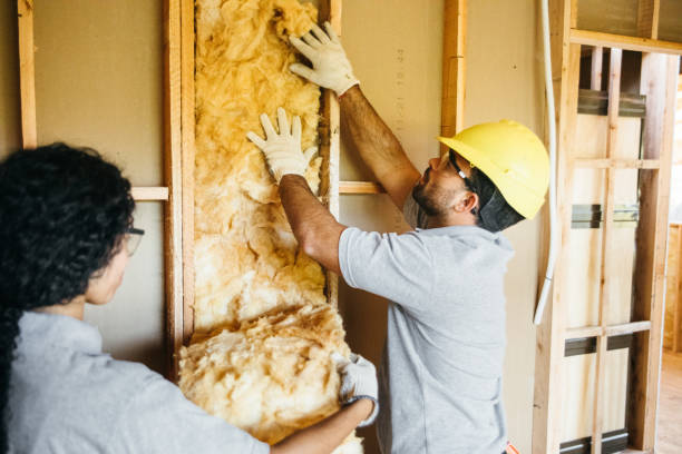 Insulation Repair Services in Pine, AZ